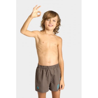 Шорты для плавания детские Arena BEACH SHORT LOGO R темно-оливковый ребенок 140см 2670