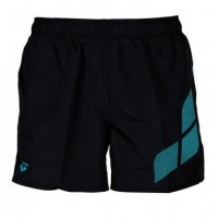 Плавки-шорты для мужчин Arena MEN'S BEACH SHORT LOGO черный Муж S 3024